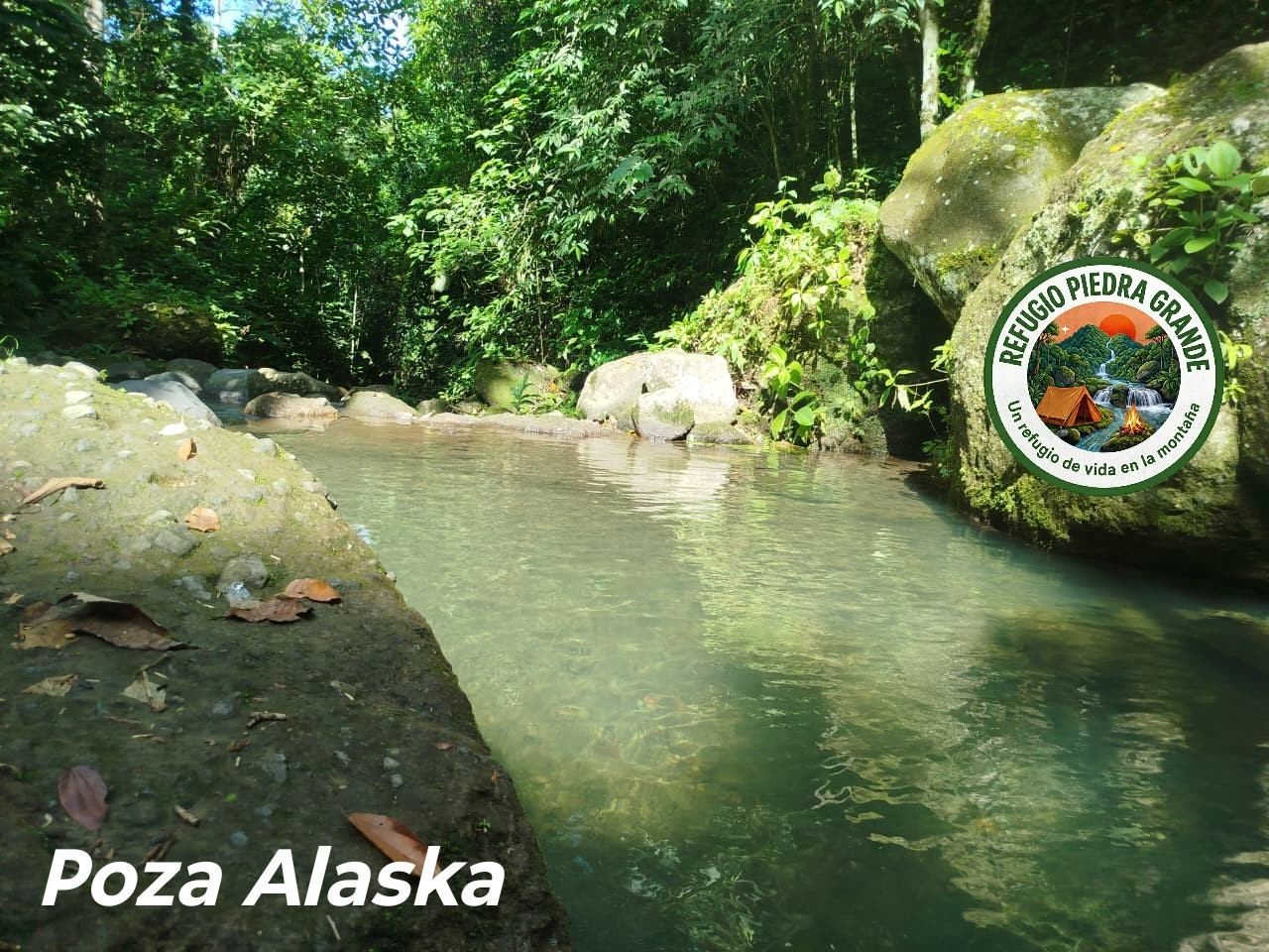Poza Alaska