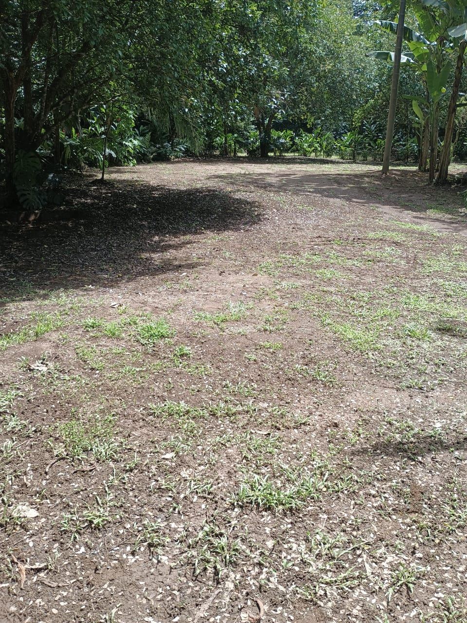 Parqueo
